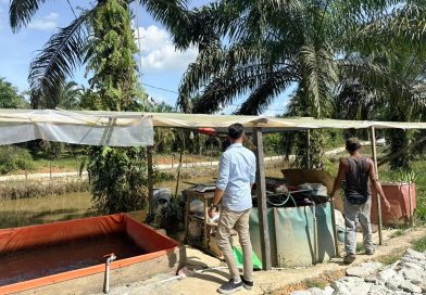 Otorita IKN Dorong Warga Prasejahtera Bentuk KPIN